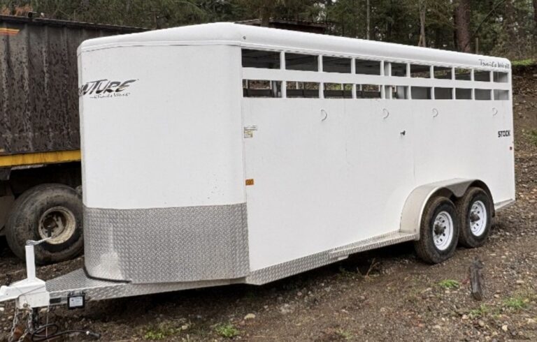 Mar G. STOCk 1 768x490